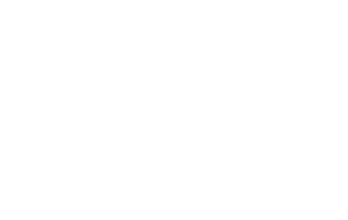 Bridgeway Global Pathway