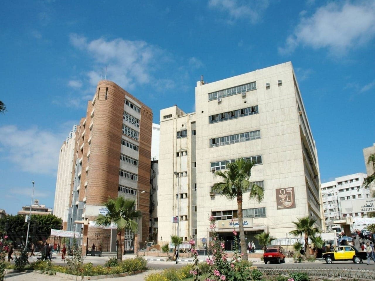 Alexandria University faculty buildings, including the Faculty of Pharmacy, with a Faculty of Medicine sign on the right